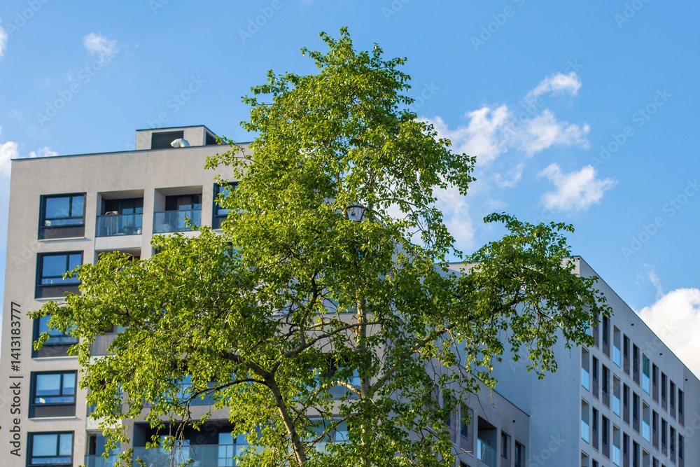 A modern apartment building in the city with a green tree in the foreground. The building is illuminated by the sun on a bright spring day, showcasing its contemporary elevation. A modern apartment building in the city with a green tree in the foreground. The building is illuminated by the sun on a bright spring day, showcasing its contemporary elevation.