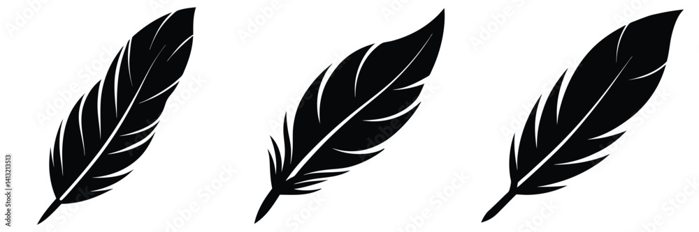 Obraz premium set of feathers, feather png