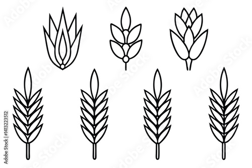 Varieties of Oats Collection