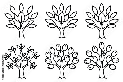 Different Olive Tree Styles