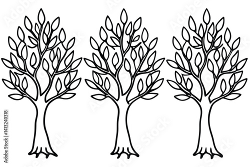 Hand Drawn Olive Trees