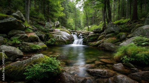 Tranquil mountain stream flowing through mossy rocks
