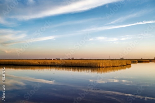 View into land of a reed belt on the river Ems near Petkum, Oldersum, East Frisia, Lower Saxony, Germany