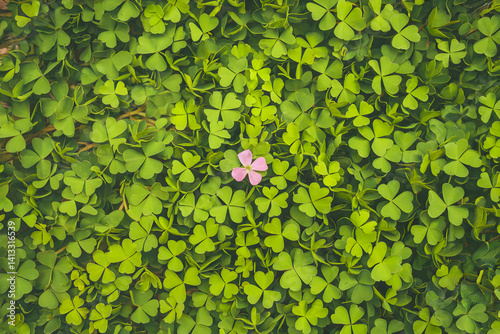 cloverleaf background