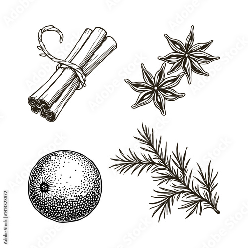 Hand-drawn illustration of cinnamon sticks, star anise, orange, and pine twig on white background. Concept of winter spices and herbs set