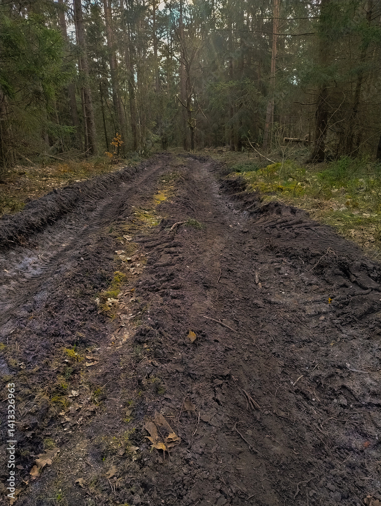 Fototapeta premium Dukt leśny powstały w wyniku prac leśnych wykonywanych przez maszyny samobieżne. Pokryty jest on gałęziami, połamanymi małymi drzewami i przemieszaną ziemią w głębokich koleinach.