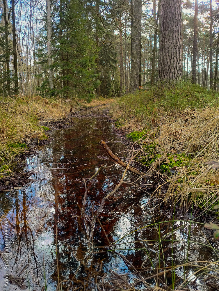 Leśny strumień wypełniony powoli płynącą wodą. W lustrzanej powierzchni wody odbijają się niebo i okoliczne drzewa.
