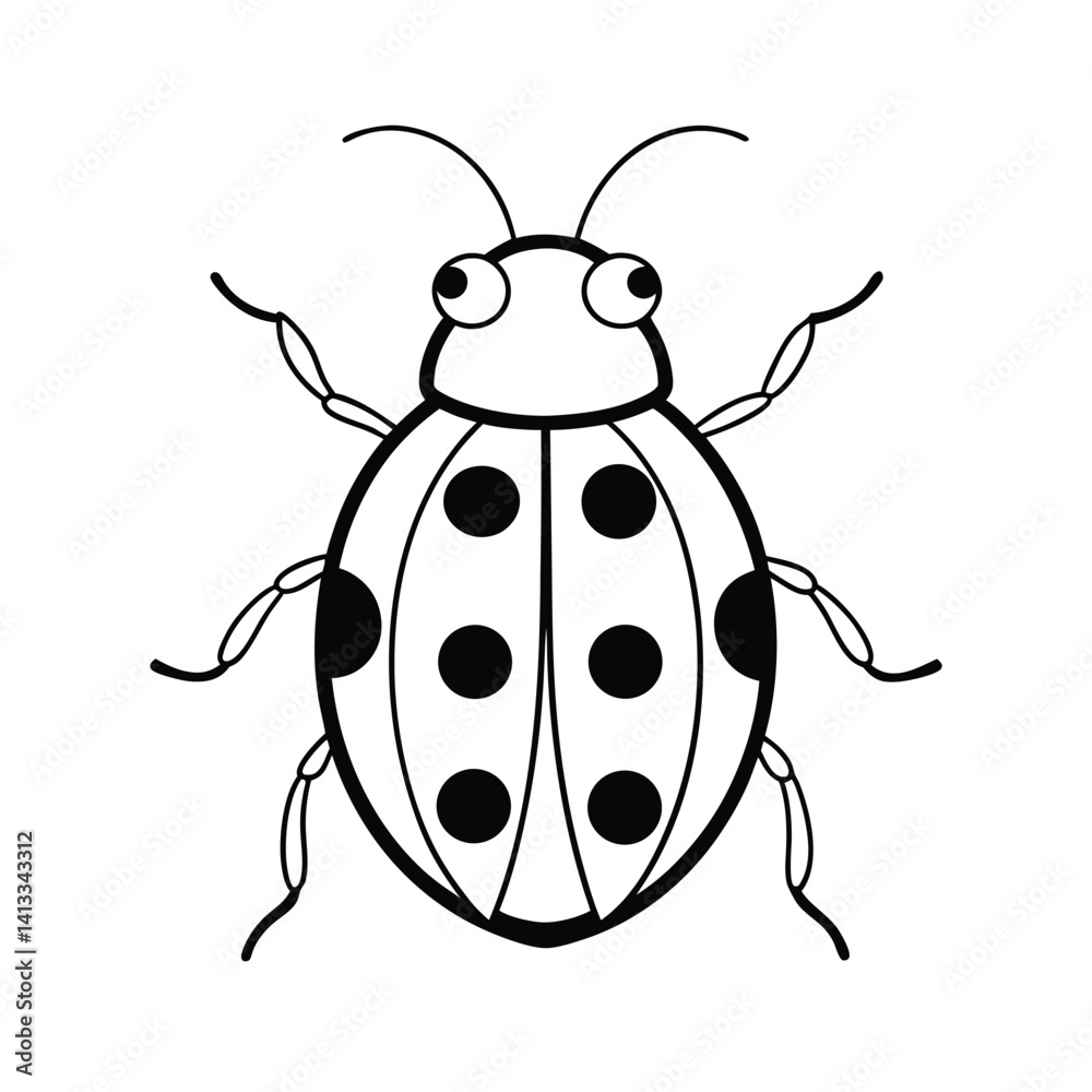 Fototapeta premium Ladybug