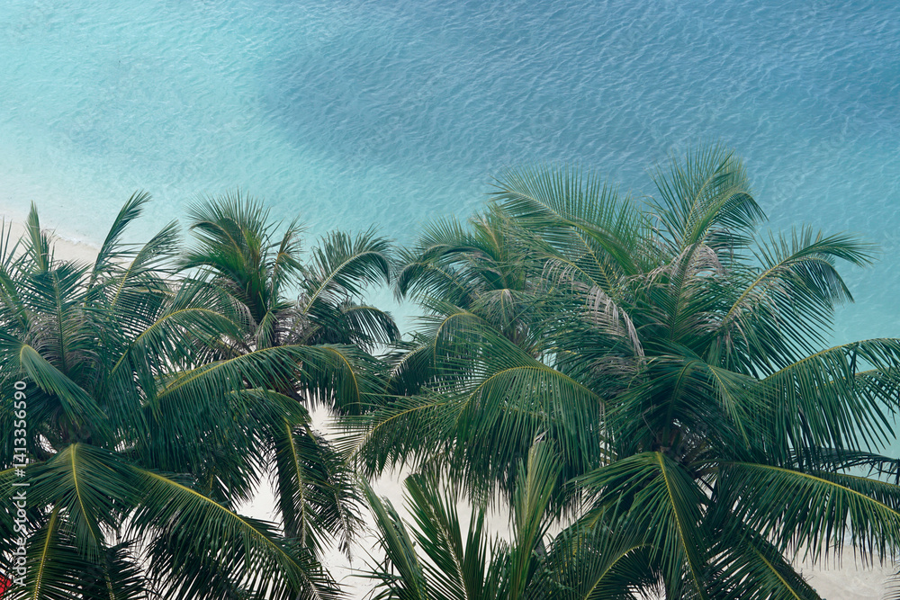 aerial view of Sunny tropical beach paradise on the Maledives