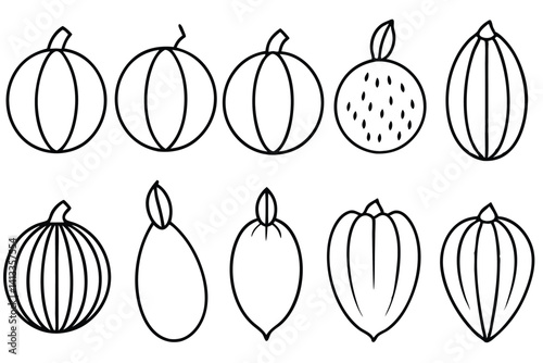 Stages of Crop Ripening on White Background
