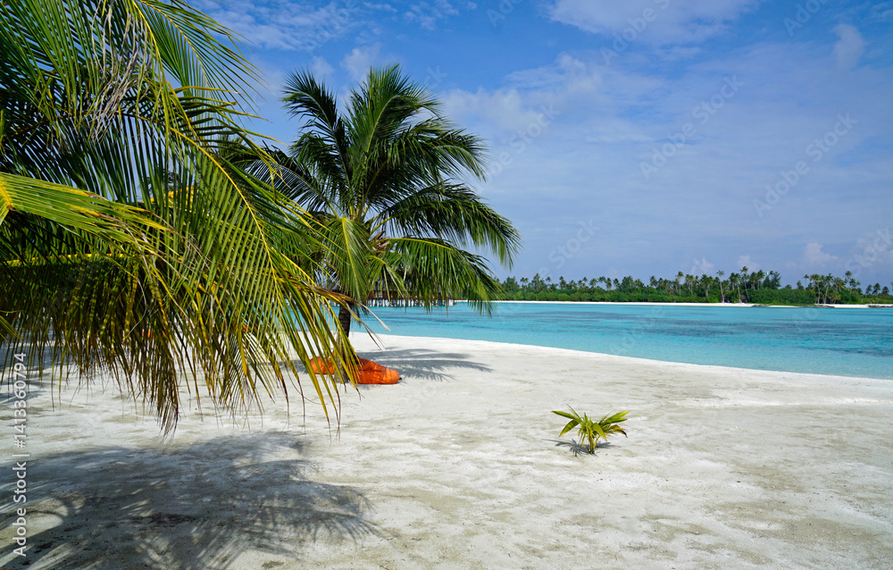 exotic tropical island on the maldives