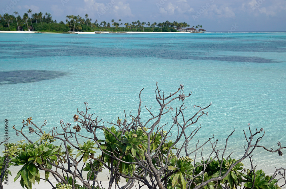 exotic tropical island on the maldives