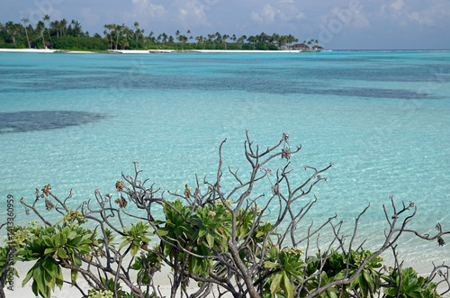 Obraz na płótnie exotic tropical island on the maldives w salonie