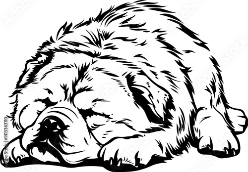 Chow Chow Dog, animal, vector, mammal, sketch, cat, pet, wildlife, nature, dog, illustration, fur, wild, drawing, bear, head, hand drawn, isolated, black, cute, white, shaggy, tail, zoo, beast, domest