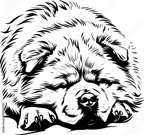 Chow Chow Dog, animal, vector, mammal, sketch, cat, pet, wildlife, nature, dog, illustration, fur, wild, drawing, bear, head, hand drawn, isolated, black, cute, white, shaggy, tail, zoo, beast, domest