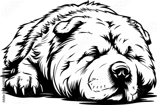 Chow Chow Dog, animal, vector, mammal, sketch, cat, pet, wildlife, nature, dog, illustration, fur, wild, drawing, bear, head, hand drawn, isolated, black, cute, white, shaggy, tail, zoo, beast, domest