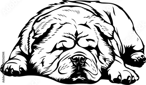 Chow Chow Dog, animal, vector, mammal, sketch, cat, pet, wildlife, nature, dog, illustration, fur, wild, drawing, bear, head, hand drawn, isolated, black, cute, white, shaggy, tail, zoo, beast, domest