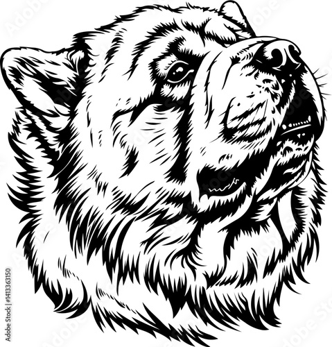 Chow Chow Dog, animal, vector, mammal, sketch, cat, pet, wildlife, nature, dog, illustration, fur, wild, drawing, bear, head, hand drawn, isolated, black, cute, white, shaggy, tail, zoo, beast, domest