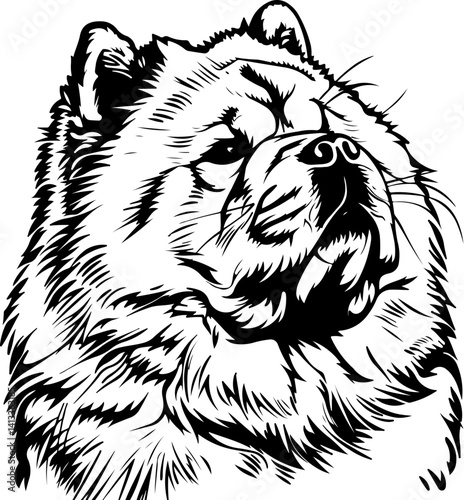Chow Chow Dog, animal, vector, mammal, sketch, cat, pet, wildlife, nature, dog, illustration, fur, wild, drawing, bear, head, hand drawn, isolated, black, cute, white, shaggy, tail, zoo, beast, domest