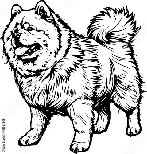 Chow Chow Dog, animal, vector, mammal, sketch, cat, pet, wildlife, nature, dog, illustration, fur, wild, drawing, bear, head, hand drawn, isolated, black, cute, white, shaggy, tail, zoo, beast, domest