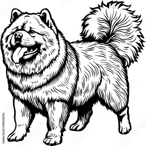 Chow Chow Dog, animal, vector, mammal, sketch, cat, pet, wildlife, nature, dog, illustration, fur, wild, drawing, bear, head, hand drawn, isolated, black, cute, white, shaggy, tail, zoo, beast, domest