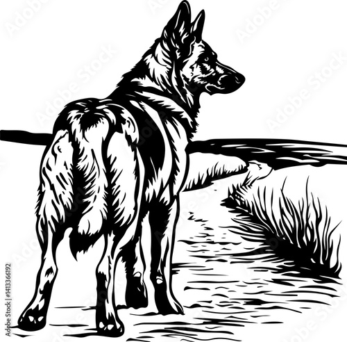 German Shepherd, horse, vector, animal, head, illustration, dog, mammal, wild, black, drawing, art, tattoo, nature, tiger, cartoon, sketch, design, logo, pet, silhouette, stallion, cat, farm, tribal, 