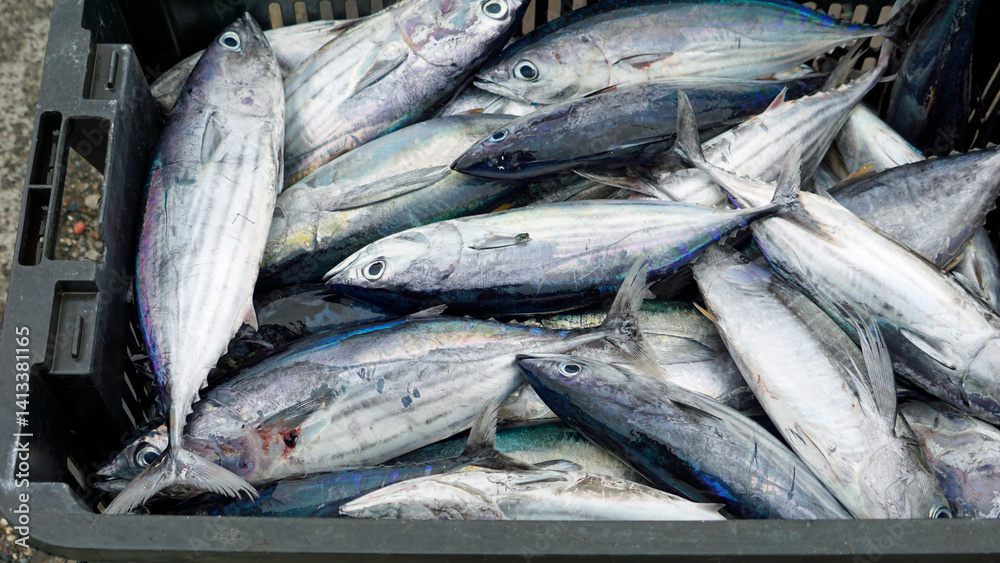fresh fish from the fishmarket