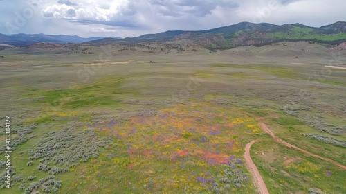 Aerial View of Colorful Wildflower Meadow in Mountain Valley