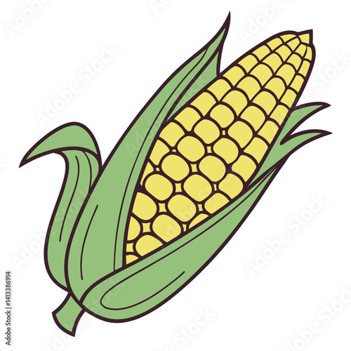 Fresh Yellow Ear of Corn with Green Husk Leaves.