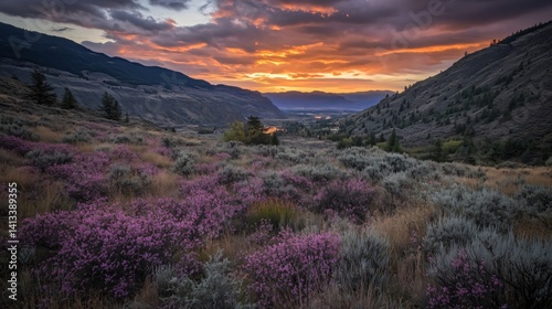 Valley View with Blooming Heather and Sunset Sky