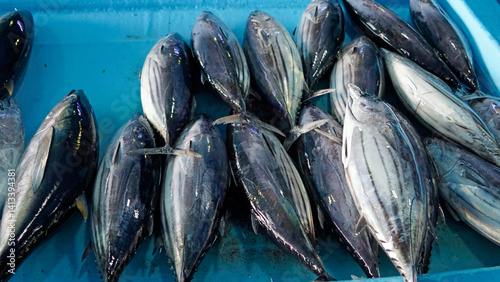 fresh fish from the fishmarket