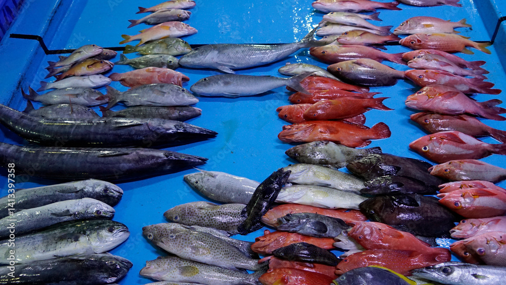 fresh fish from the fishmarket