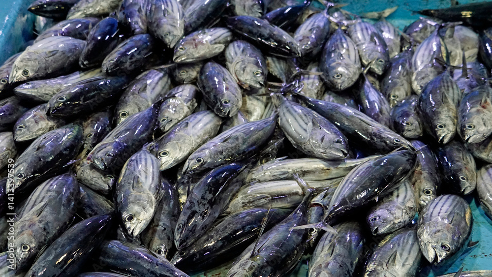 fresh fish from the fishmarket