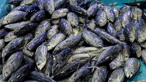 Obraz na płótnie fresh fish from the fishmarket w salonie