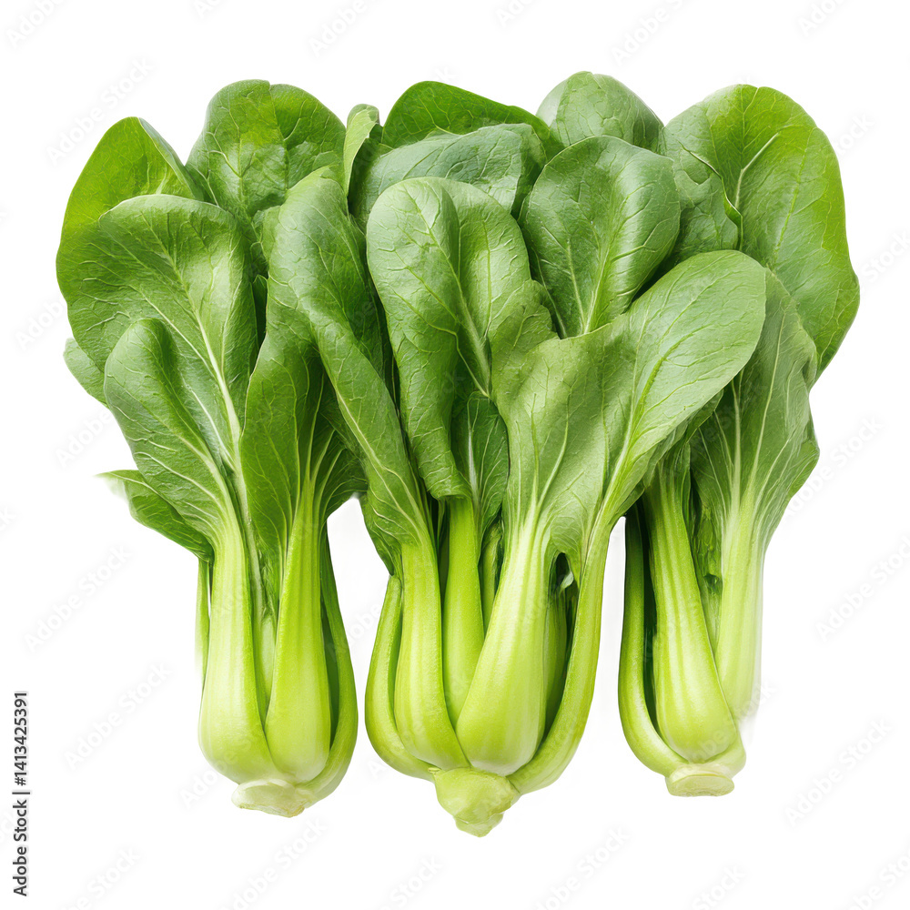 Close view of several bunches of bok choy with green leaves and stems shown Close view of several bunches of bok choy with green leaves and stems shown