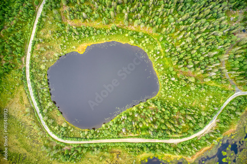 Finland, North Ostrobothnia, Rukatunturi area. Marshlands, The yellow rim is due to blooming plants photo
