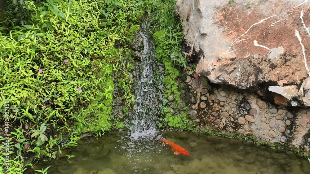 A small waterfall is flowing. A small waterfall is flowing.
