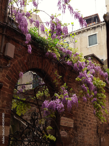 Flowers in a beautiful cozy vintage courtyard in Venice, Italy. Traditional Italian architecture.