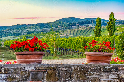Greve in Chianti, Tuscany, Italy. a vineyard farm growing Sangiovese grapes.
