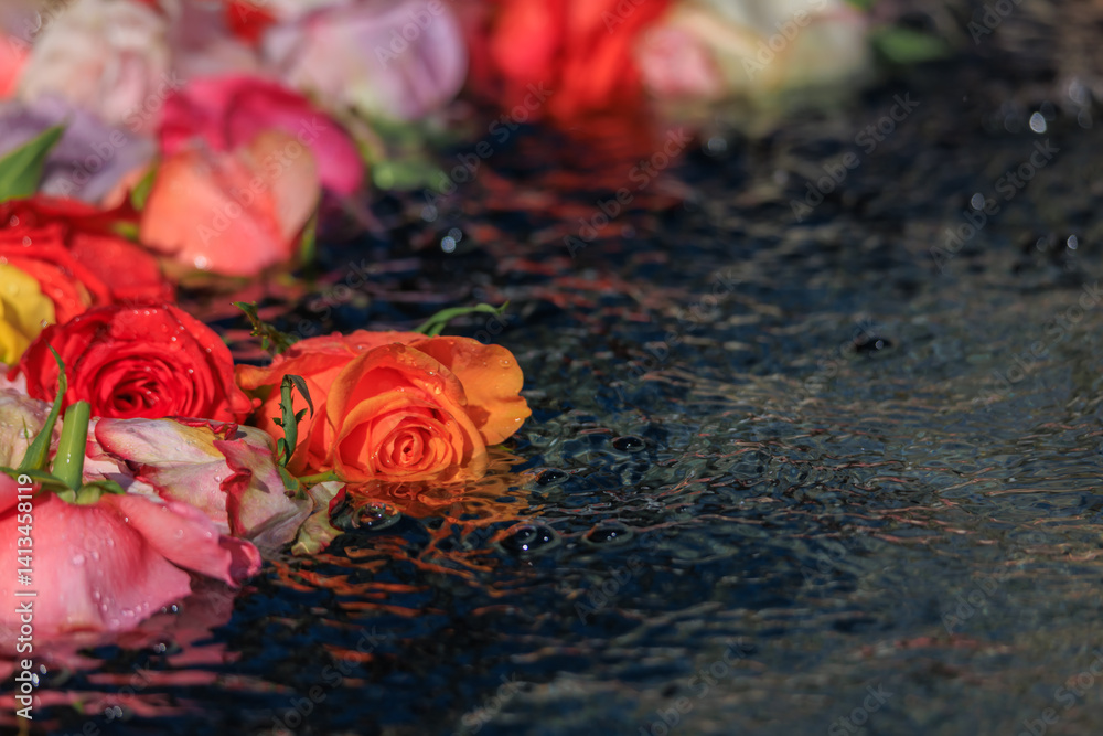 Roses in a fountain of the Old Town, Easter tradition in Zurich, Switzerland