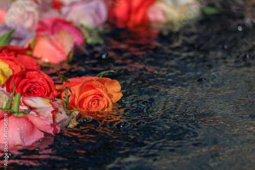 Obraz na płótnie Roses in a fountain of the Old Town, Easter tradition in Zurich, Switzerland w salonie