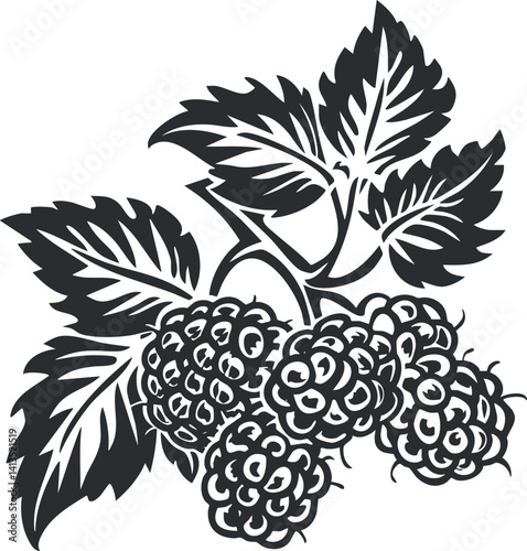 Stylized black and white illustration of grapevine with leaves and clusters of grapes.