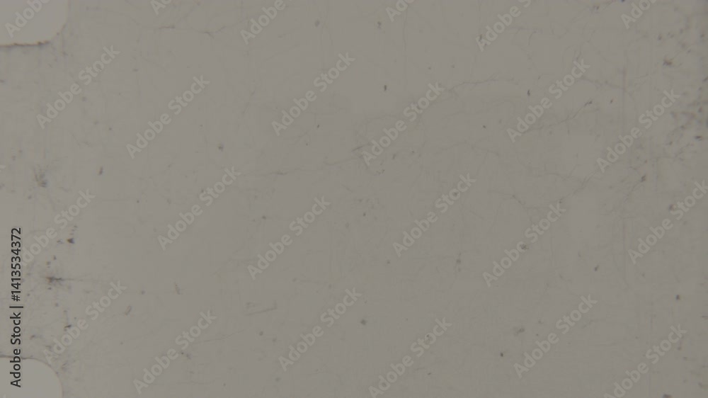 Distressed 8mm Film Look With Authentic Grain Distressed 8mm Film Look With Authentic Grain