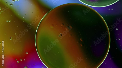Colorful Oil Bubbles Moving on a Water Surface