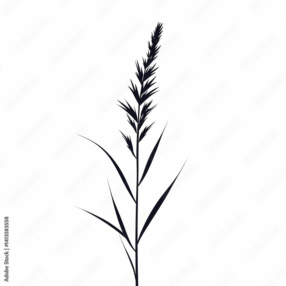 Organic Botanical Silhouette Clipart: Minimalistic Black and White Nature Illustration Organic Botanical Silhouette Clipart: Minimalistic Black and White Nature Illustration