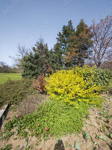 Obraz na płótnie Spring Landscape of South Park in city of Sofia, Bulgaria w salonie
