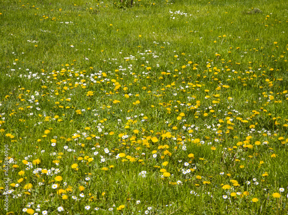 Spring Landscape of South Park in city of Sofia, Bulgaria