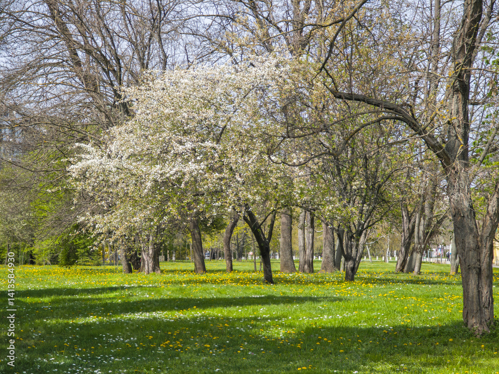 Spring Landscape of South Park in city of Sofia, Bulgaria