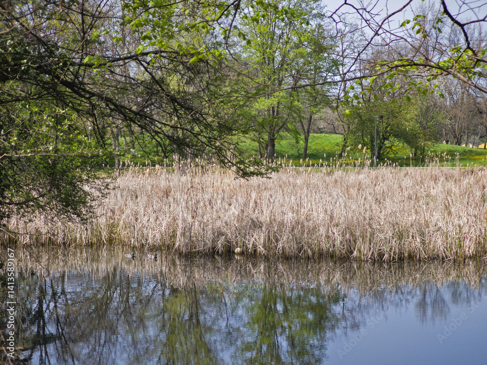 Spring Landscape of South Park in city of Sofia, Bulgaria
