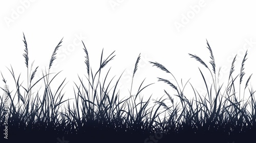 Serene Silhouette of Summer Grass Blades Swaying in the Tranquil Rural Landscape Against a Sunlit Horizon